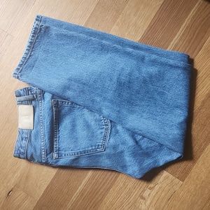 Everlane cheeky jean crop